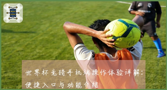 世界杯竞猜手机端操作体验详解：便捷入口与功能介绍