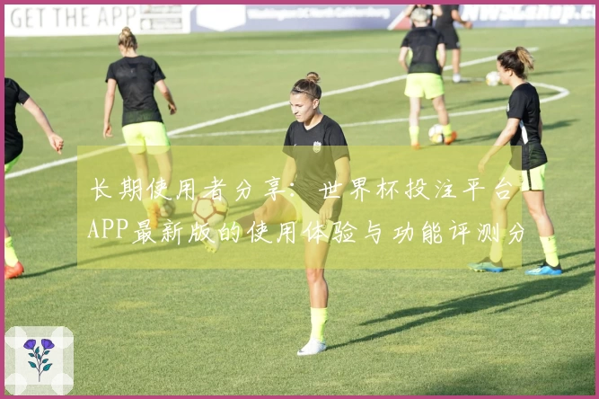 长期使用者分享：世界杯投注平台APP最新版的使用体验与功能评测分析